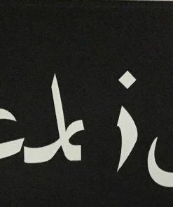 Bare Arms Gear Fuck Isis Sticker Stickers