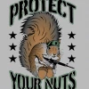 Bare Arms Gear Protect Your Nuts Sticker