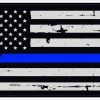 Bare Arms Gear Stickers Thin Blue Line Decal